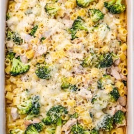 Chicken and Broccoli Alfredo Bake –